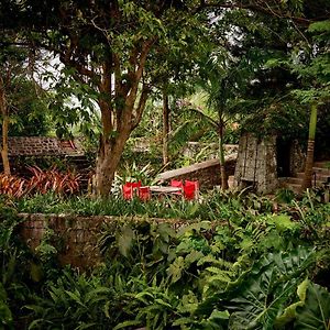 Cottage Garden View